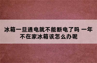 冰箱一旦通电就不能断电了吗 一年不在家冰箱该怎么办呢